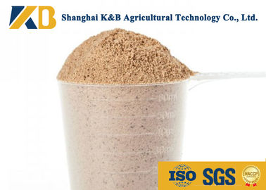 OEM پودر برنج قهوه ای / محصولات خوراکی پروتئین آمینو اسید است